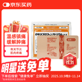 TAIHO大鹏药品 温感久光镇痛贴腰肩镇痛贴止痛膏贴（10cm*14cm）日本原装进口 7枚