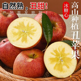 闽农语果 新鲜丑苹果冰糖心【多地次日达】高山种植苹果中秋水果礼品苹果 5斤 活动款【单果60-70mm】净重4.5斤 【可团购/进店咨询客服哦~】