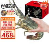 时寐东山岛海捕小青龙虾新鲜活冻大号青龙虾端午中秋春节礼盒顺丰空运 超大只礼盒装4斤/3-5只