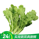 【24小时菜】富硒茼蒿200g