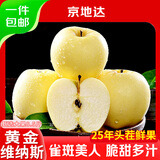 京地达山东黄金维纳斯苹果水果生鲜奶油苹果净重8.5斤单果80mm+源头包邮