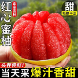 趣鲜语正宗红心柚子蜜柚【爆甜多汁】新鲜当季孕妇水果现摘红肉琯溪礼盒 5斤-【出口级2-3个装净重4.5】