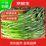 京鲜生山东红帽蒜苔净重4斤粗细适中色泽饱满蒜薹 源头直发