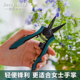 Berry&Bird园艺花枝剪家用养花种植修剪枝条鲜切花剪刀不锈钢防锈小型省力