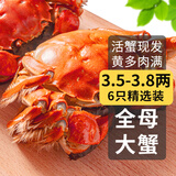 【活蟹】乾澄大闸蟹现货 精选全母蟹3.5-3.8两 6只 鲜活螃蟹河蟹海鲜礼盒装源头直发