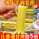格沃斯云南手剥黄金甘蔗新鲜当季水果黄皮青皮黑皮甘蔗现砍脆甜多汁整箱 精选中段【整箱9-10斤】无刀
