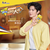 康师傅 冰红茶can 310ml*24听 茶饮料小罐整箱装 热门商品