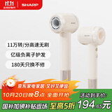 夏普家用高速吹风机 大功率速干电吹风低噪音吹风筒等离子护发IB-RP45C-P奶茶色