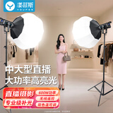 漾菲斯【100%好评】YS19专业直播补光灯常亮led摄影打光灯球形柔光灯箱600W大功率摄影主播美颜视频设备