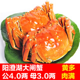 【活蟹】金日旺 阳澄湖大闸蟹鲜活螃蟹 4对8只 公4.0两 母3.0两