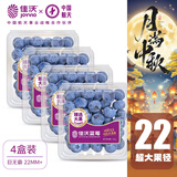 佳沃 JOYVIO 秘鲁进口蓝莓巨无霸4盒装22mm+ 125g/盒 新鲜水果礼盒