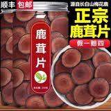 内廷上用胖东来同款鹿茸片正宗特级鹿茸血片梅花鹿中药材新鲜泡茶男性泡酒 [精选装]鹿茸片(一晚一片真男人） 50g*1罐 【热销60万+】