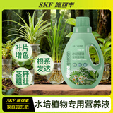 施可丰水培营养液绿萝桂花文竹植物通用型郁金香巴西木铜钱草水草龟背竹
