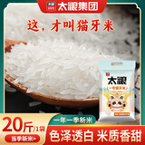 太粮一号猫牙米10kg 长粒籼米 大米20斤 当季新米 京东自营