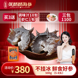 张奶奶 大连冷冻即食海参礼盒非干货天然辽刺参高品质海鲜无污染 鲜食海参 500g 海参王  5-8头 体壁厚实 Q软弹牙