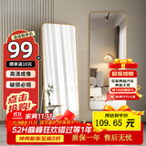 飞旺藤达全身落地镜子壁挂贴墙卧室玄关穿衣镜化妆镜铝合金简约北欧大镜子 香槟金60*165【摆挂两用】 高清成像 合金边框