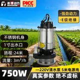 澎博动力（TURBOVOLT）潜水泵 抽水泵 220V家用 不锈钢清水泵 排水泵农用浇地灌溉 750W