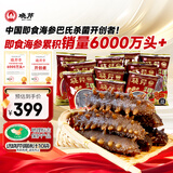 晓芹大连冷冻即食海参500g 10-14只 辽刺参 海鲜水产 