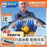 崇鲜挪威冰鲜三文鱼刺身（大西洋鲑）即食 生鱼片鲑鱼切片年货礼盒 整条鱼 5kg -6kg (分割礼盒发货)