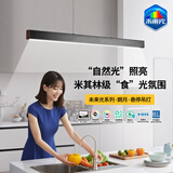 雷士（NVC）一字餐厅吊灯智能高显指吸顶吊灯现代简约长条餐桌灯灯饰灯具亦云 【朗月60W悬停款】黑色1.2m未来光