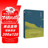 在轮下（村上春树爱不释手的读物，他的文字符合年轻人向往的“诗和远方”的气质。） 小说