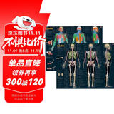 人体肌肉与骨骼解剖挂图（人邮体育出品）