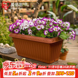 爱丽思（IRIS）花盆长方形树脂花盆多肉蔬菜绿植草莓种植种菜盆阳台果蔬种植盆 陶瓷茶500【长50cm】