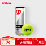 Wilson威尔胜TITANIUM 训练网球罐装 3只装