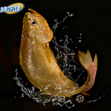 味尔佳 宁德厚切三去大黄鱼500g 对半切 免杀即烹 宁德黄花鱼 生鲜鱼类