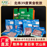 绿洲玉羊右玉羊肉新鲜山西右玉散养羔羊羊肉生鲜礼盒原切清真食品羊肉卷 10kg亲情礼盒