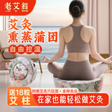 老艾翁 艾灸蒲团 艾灸熏蒸仪坐垫坐灸热敷仪艾条艾柱艾绒礼物