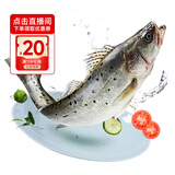 鸿顺 三去海鲈鱼3斤3条 去鳞去腮去内脏 国产 生鲜鱼类 源头直发