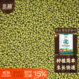 北蔬 绿豆种子芽苗菜豆子种水培土盆栽蔬菜种籽 绿豆芽苗菜种子500g