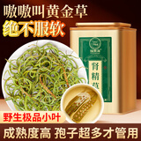 福东海长白山野生肾精草【特级金罐装】 黄金草嗷嗷叫化石草男士茶80g