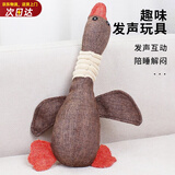 憨憨宠 狗玩具宠物狗狗玩具 发声磨牙耐咬幼犬小型犬用品金毛泰迪玩具 棕色大燕