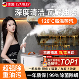 EVANLEY德国高压高温蒸汽清洁机厨房油烟机空调清洗机家电家用一体机多功能清洗工具全屋清洁神器 全屋清洁机雪山白