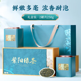 七春2025新茶雨前绿茶叶陕西紫阳富硒产区毛尖250g茶叶礼盒送长辈领导