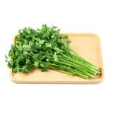 云南味浓香菜100g