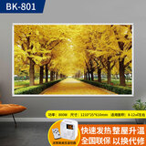 欣艾迪 石墨烯碳晶墙暖壁画家用碳纤维电暖器电热板节能省电取暖器壁挂式电暖气片 800w-01