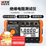 胜利仪器（VICTOR）绝缘电阻测试仪数字兆欧表500V电子摇表绝缘表VC60B+配电源适配器