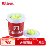 Wilson威尔胜无压力训练网球 WRT131200