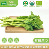 有机汇有机菜心 芥蓝菜心宝宝辅食 有机认证应季种植无农残 当天采摘 250g
