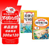 斗半匠 同步练字帖二年级上册 看拼音写词语 小学语文一年级练习册拼音拼读生字默写专项每日一练【2册】