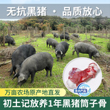 初土记 无抗黑猪筒子骨2斤 林下散养1年 新鲜黑猪汤骨棒骨 带骨髓猪猪骨