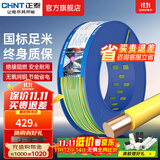 正泰（CHNT）电线铜芯电缆电源线BV1.5/2.5/4平方6平方国标纯铜家装硬电线 双色BV4（100米）