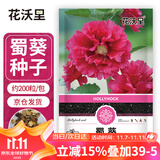 花沃里蜀葵花种子约200粒 花卉种子盆栽阳台种菜土四季草籽阳台庭院田间