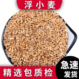 泽信堂 浮小麦 小麦仁干瘪小麦米 中药材 500克 500克