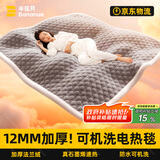 半弦月【石墨烯】可水洗电热毯褥子加热垫单双人1.8x2米双温控自动断电 双人-12mm厚绒【180x150适1.8m床】