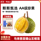 市舶士马来西亚猫山王榴莲D197整果树熟液氮冷冻榴莲进口水果礼盒 【保底5房】AA级珍品 4.1-4.5斤