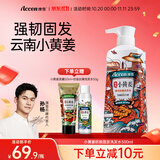 澳雪（accen）孙杨代言 小黄姜生姜洗发水洗发露 【国妆特证】强韧固发500ml